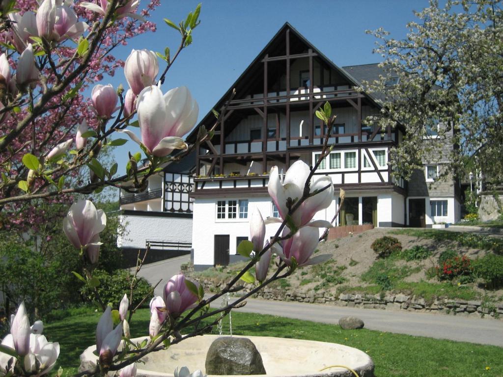 Ferienwohnungen Otto ชมาลเลนแบร์ก ภายนอก รูปภาพ